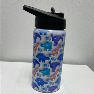 Dinosaur Pattern Water Bottle with Black Lid